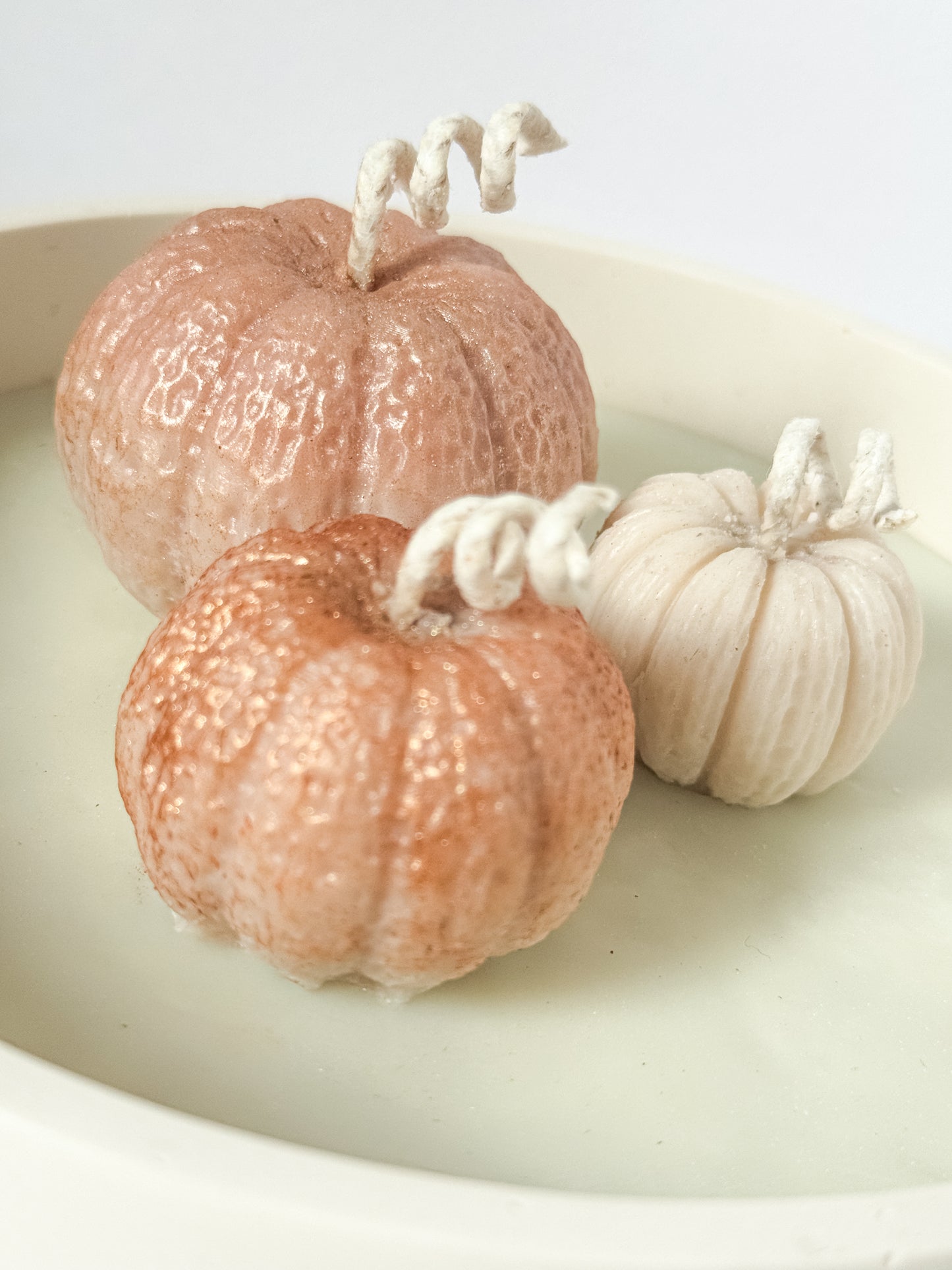 Pumpkin Patch Bowl Candle