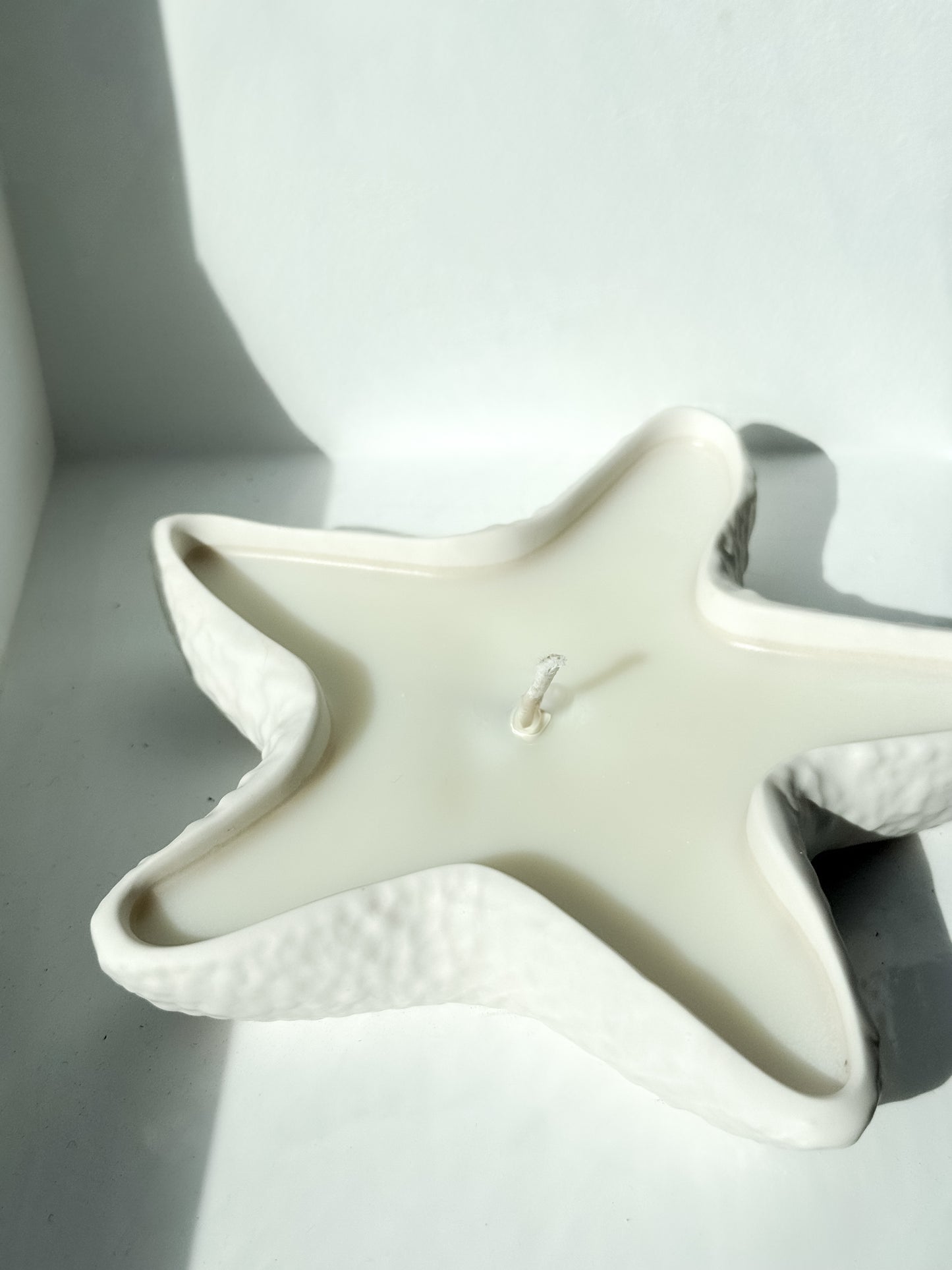 ‘The one’ - StarFish Candle