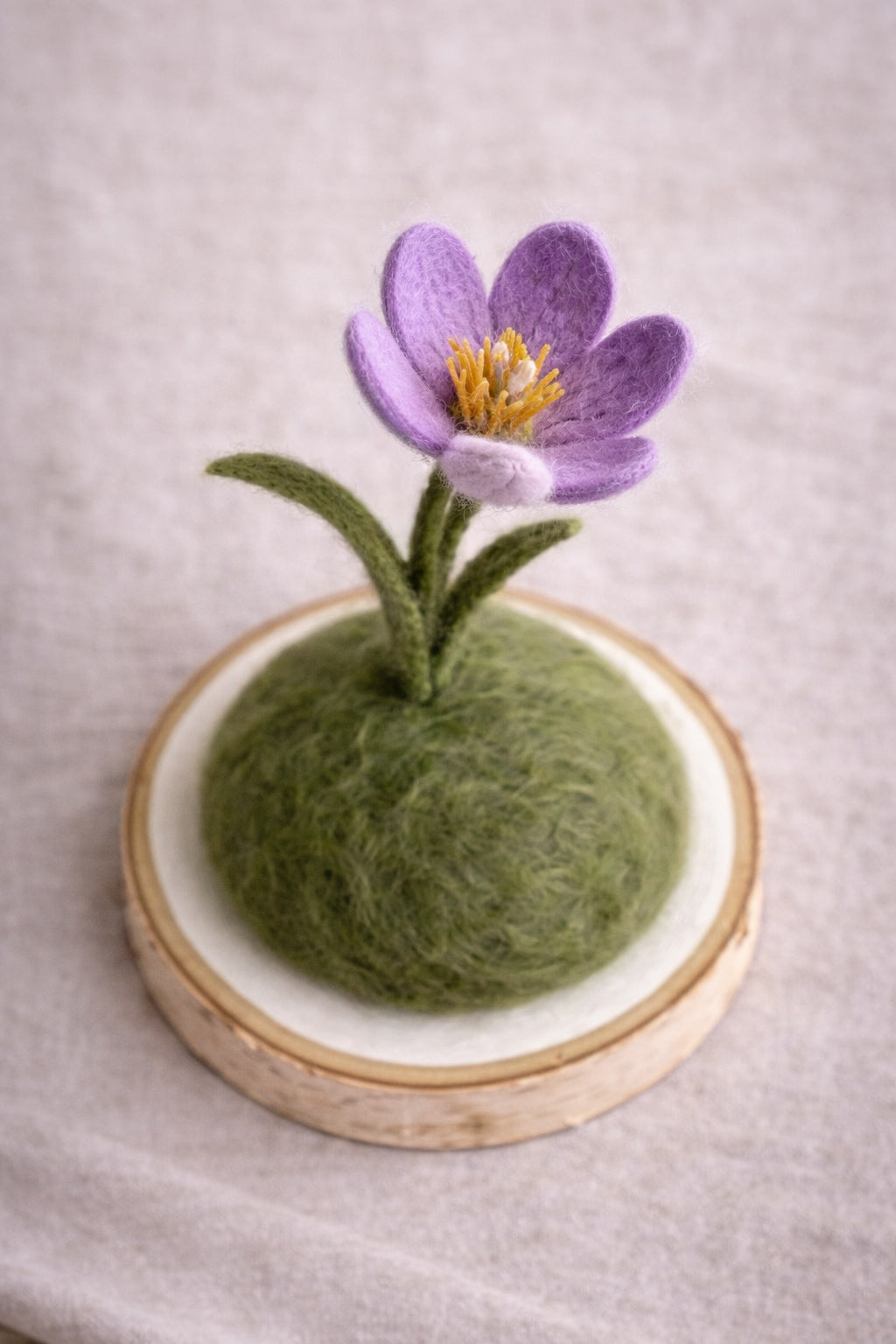 The Everlasting Crocus