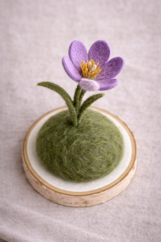 The Everlasting Crocus